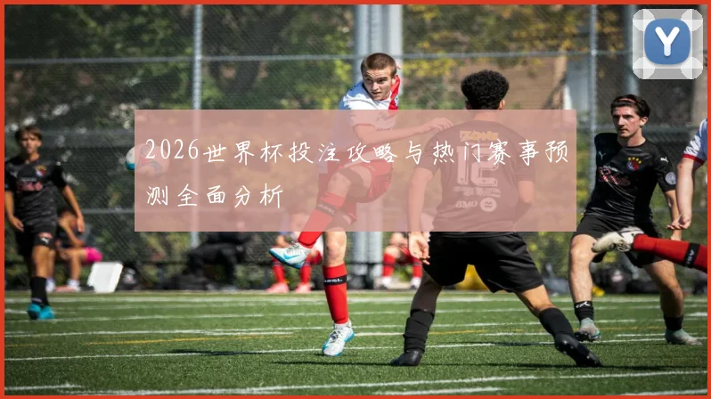 2026世界杯投注攻略与热门赛事预测全面分析