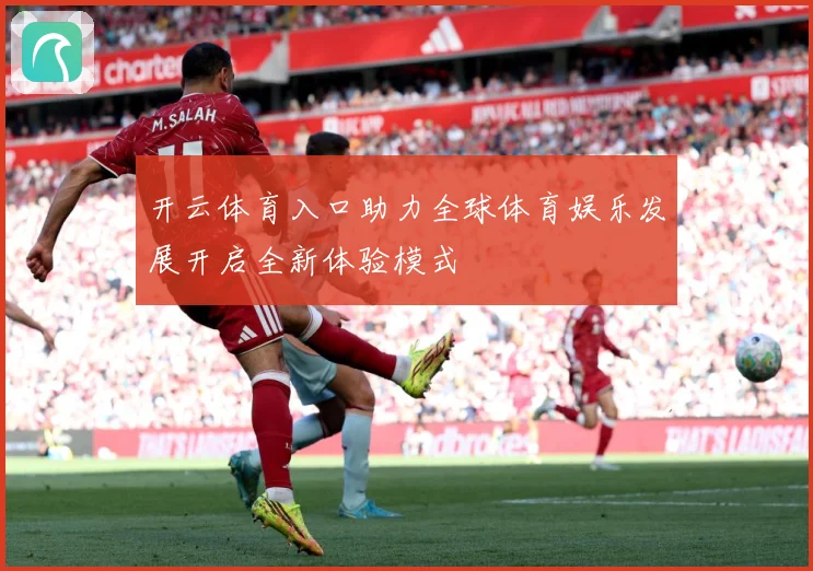 开云体育入口助力全球体育娱乐发展开启全新体验模式