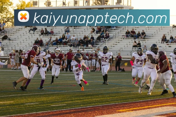 开云平台展示图